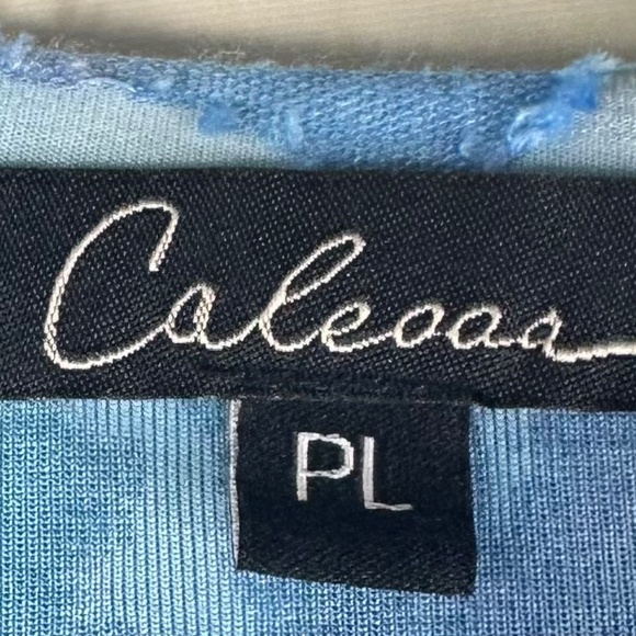 Caleaas Tunic Top Shirt Sz Petite Large PL Art to Wear Vibrant Floral Boho Blue - Picture 5 of 6